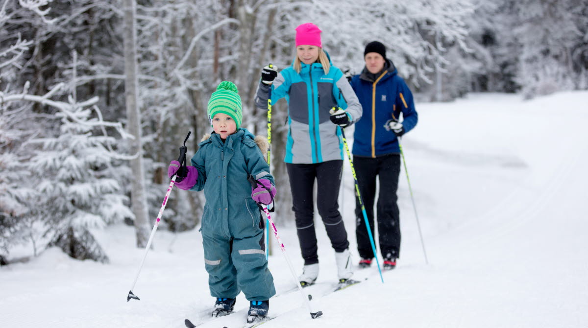Familj med barn som åker längdskidor i skidspåret på Billingen. 