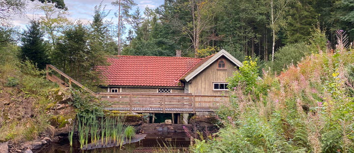 Picture of a cottage in the woods