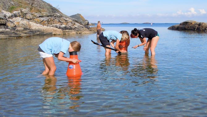 Strandguidning med vattenkikare i Kosterhavets nationalpark.