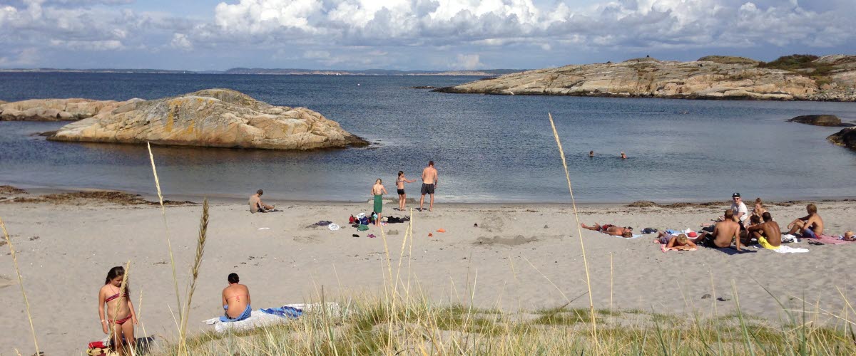 En solig dag vid Norrvikarna på Nordkoster. Folk sitter på stranden på badlakan, i förgrunden syns vass och högt gräs. 
