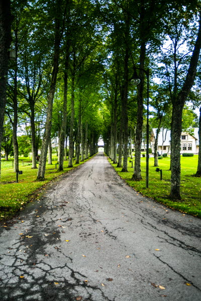 Bjertorp Slott- Photo Cred Madeleine Landley