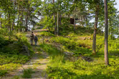 Hällesdalens Gård, Svenshögen
