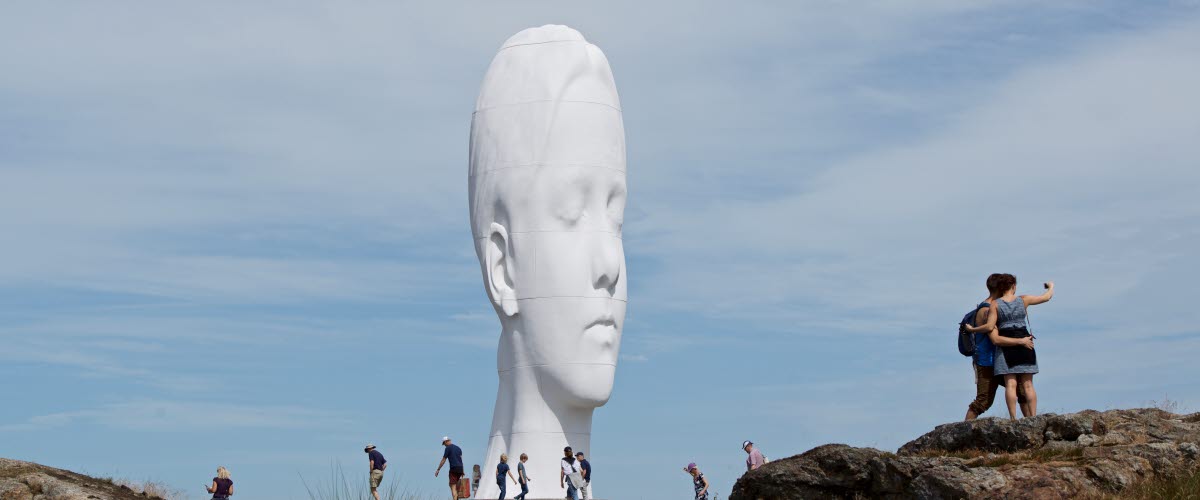 White arthead at Skulptur i Pilane.