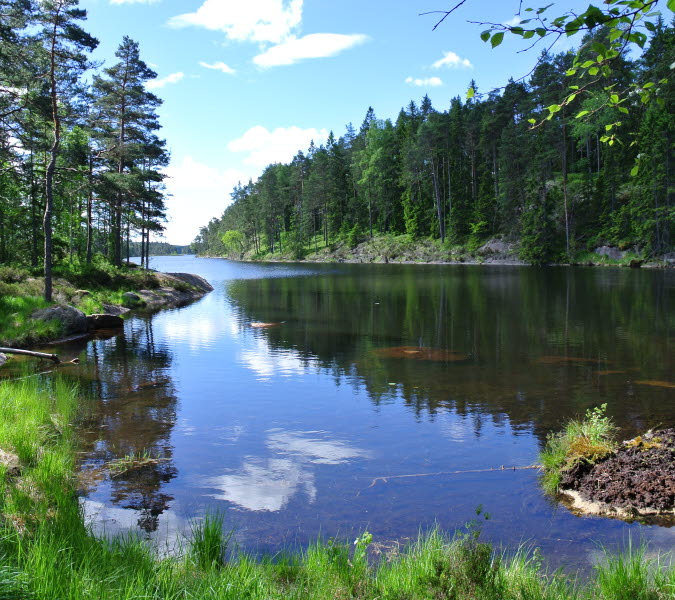 Välkommen till Dals-Ed