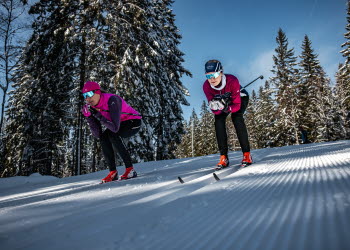 Skidåkare på Billingen