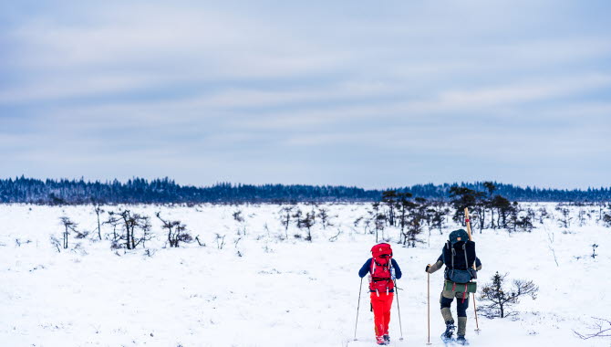 Två personer som vandrar över det karga snötäckta landskapet på Blängsmossen i Skövde