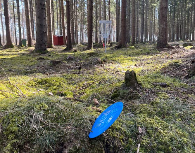 Discgolf Länghem