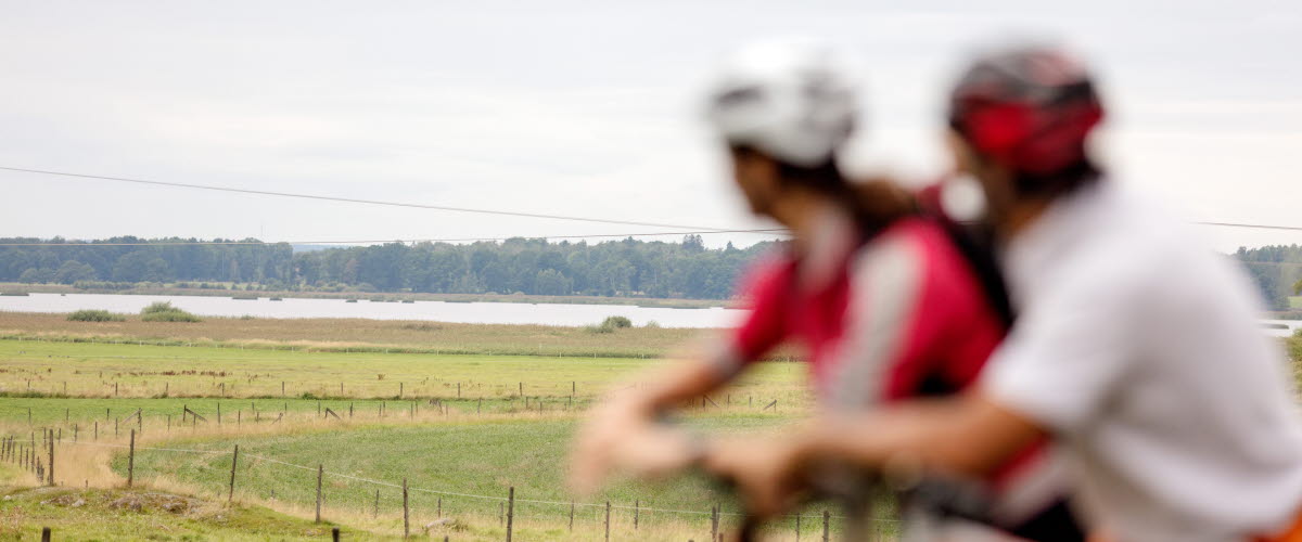 Two people on bicycles are looking out over the plain landscape.