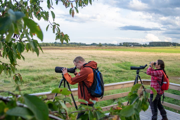 Naturreservat sjön Östen