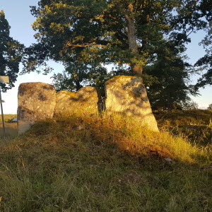 Jällby fornstig, Odins tre flisor