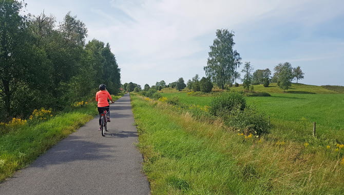 kvinna i organge tröja som cyklar på asfaltsbelagd cykelbana i gröna omgivningar.