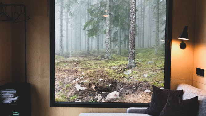 Inforest, övernattning i Hjo, Västsverige.