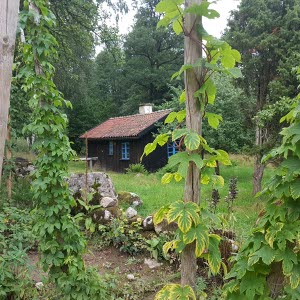 Haraberget, Herrljunga hembygdspark