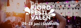 Festival med armar i luften och disco lampor 
