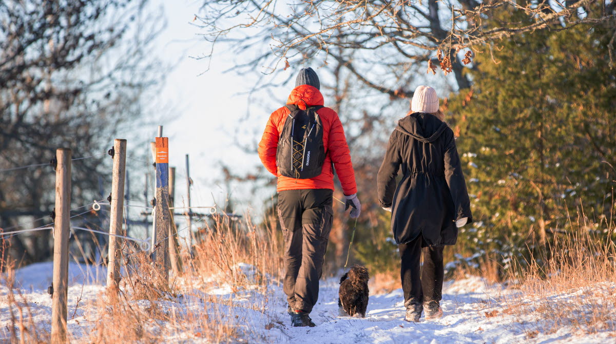 Två personer är ute och går med en svart hund. Himlen är blå och på marken ligger snö. Personerna på bilden bär mössa och handskar. Den ena personen bär en orange jacka och den andra bär en svart jacka.