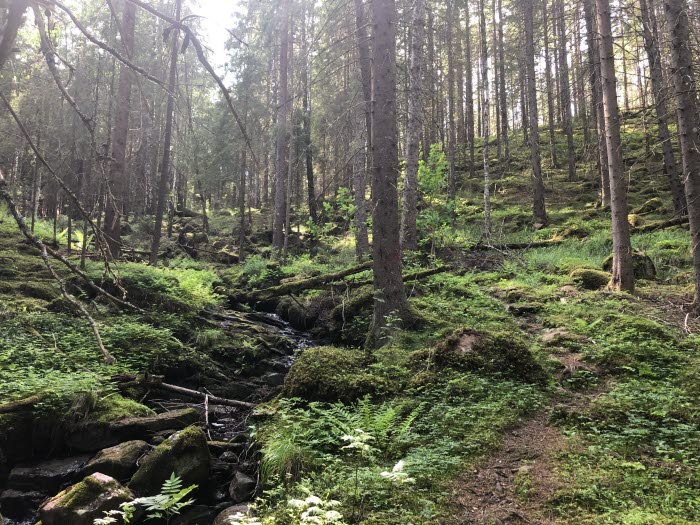 Häradsvägen