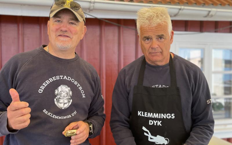 Bröderna Klemming