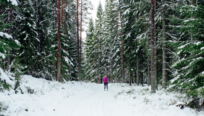 Skidåkare i spåren på Högaliden i Hjo.