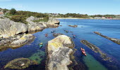 Kajakpaddling i Kosterhavet