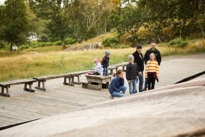 Vitlycke Museum, Tanumshede