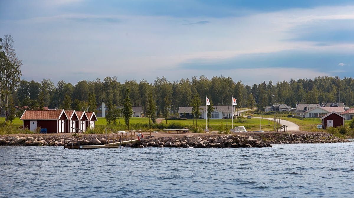 Bråbacka örlen