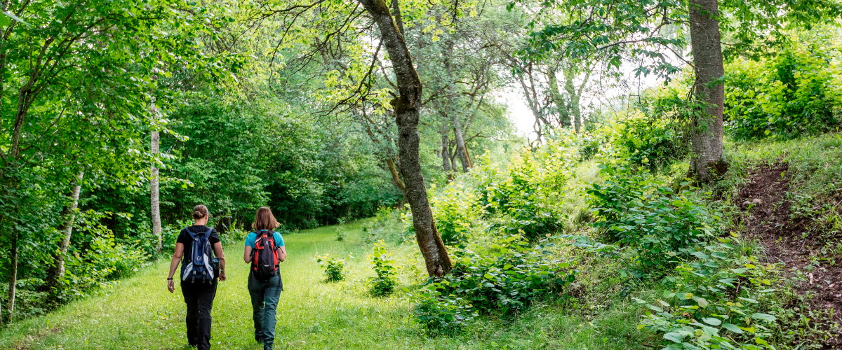 Två kvinnor med ryggen mot kameran vandrar i grön och lummig natur. 