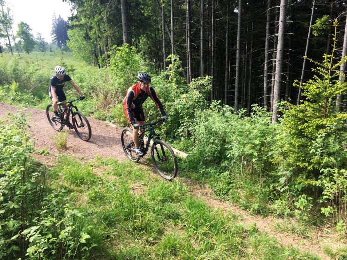 Två personer cyklar på sina Mountainbikes i ett skogslandskap.