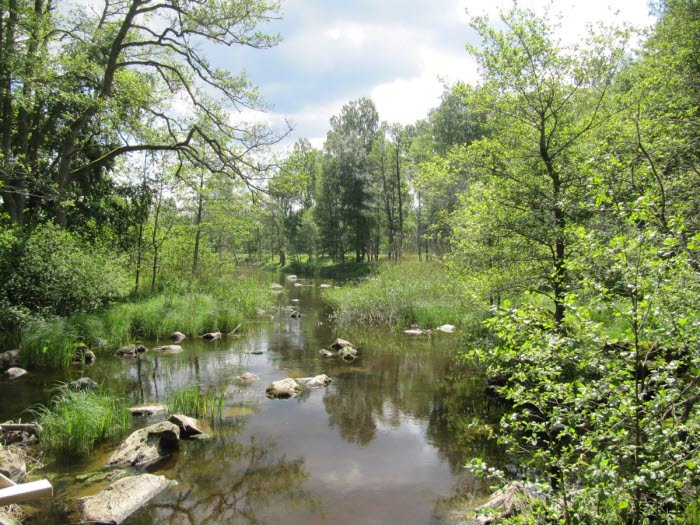 Naturreservat Gullspångsälven