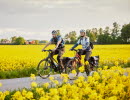 Två cyklande personer intill rapsfält