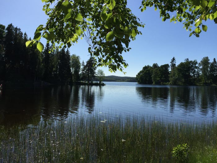Ärtingens fvo
