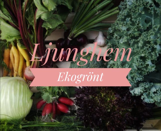 Grönsaker från Ljunghem Ekogrönt.