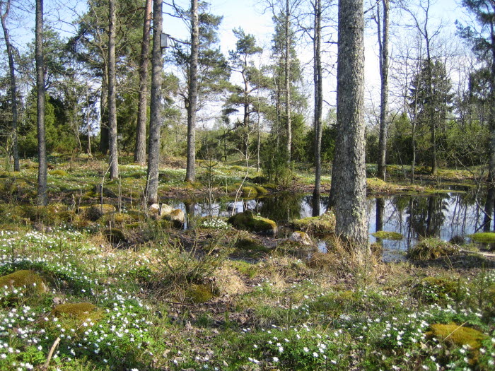 Paradiset Natur- & Kulturområde