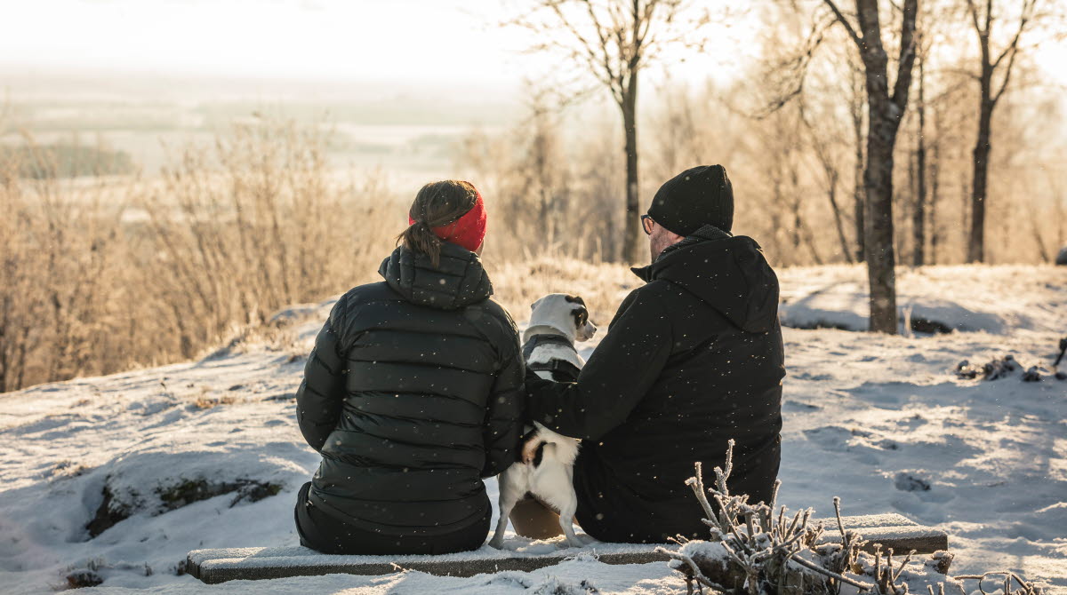 Man och kvinna i vinterkläder sitter på en bänk med en hund mellan sig. Tittar ut på vinterlandskapet.