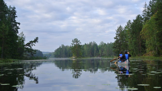 kanot paddla i spegelblankt vatten i morgondimman