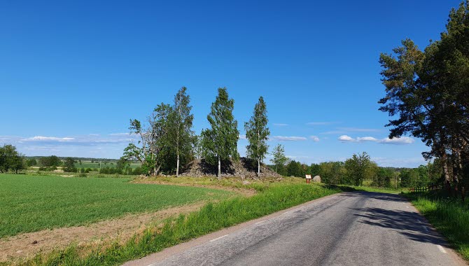 Ett bronsåldersröse utmed vägkanten en solig dag.
