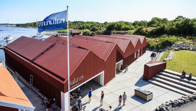 Byggnad som inrymmer naturum Kosterhavet, Framför entrén finns gräsyta och sittplatser och baksidan är mot havet.
