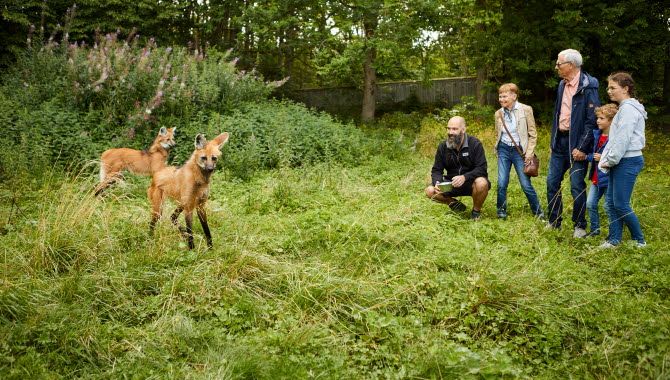 People watching animals at Nordens Ark