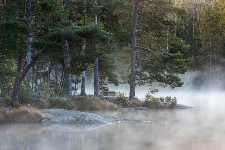 Hedgärdessjön