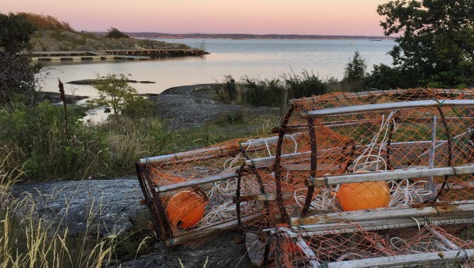 Tinor på klippor