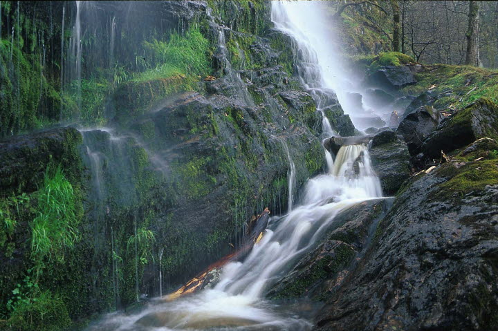 Kviströms naturreservat med Brudslöjan