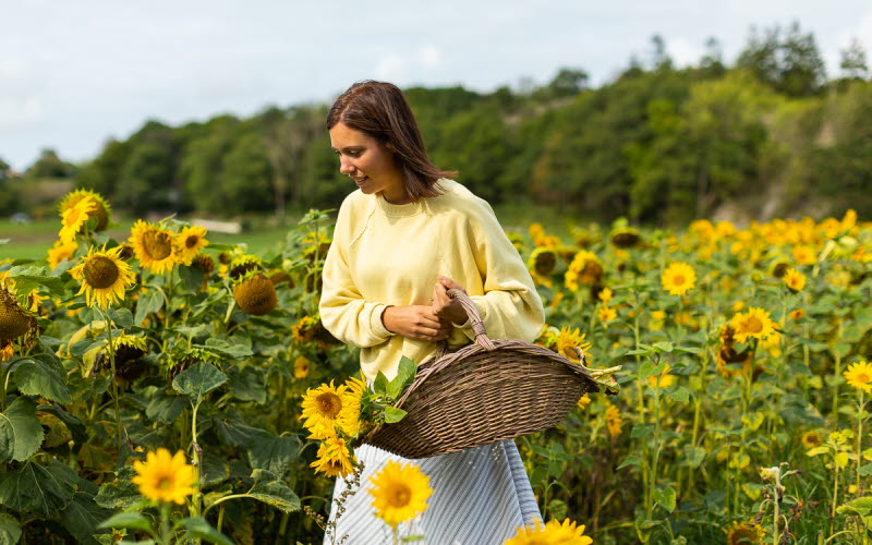 Lekanders Bär och Boende