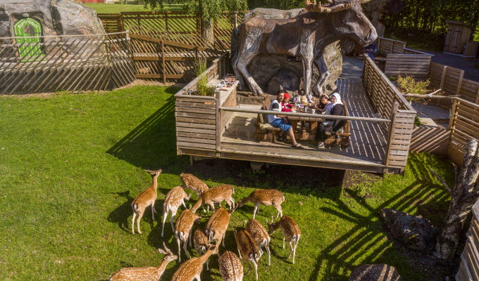 Familj som sitter på altanen framför älghuset och äter med dovhjortar betandes framför.
