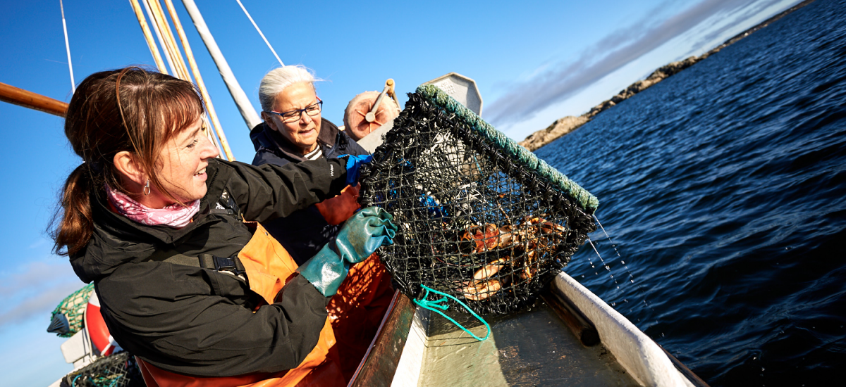 Fish and lobster safari Gothenburg archipelago