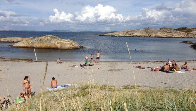 En solig dag vid Norrvikarna på Nordkoster. Folk sitter på stranden på badlakan, i förgrunden syns vass och högt gräs.