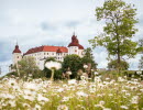 Läckö castle