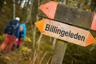 Jättadalen, Vallebygden