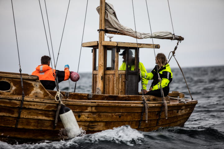 The start of the Lobster Season makes Sweden's West Coast go wild!