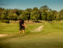 Man playing golf a sunny day 