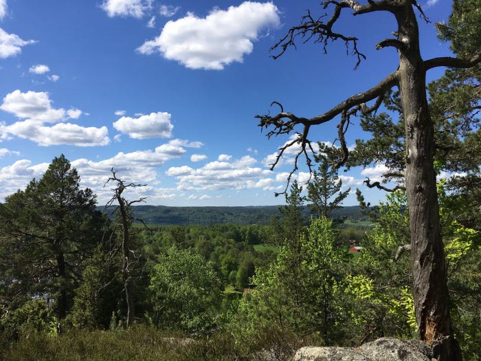 Brudkullens naturreservat