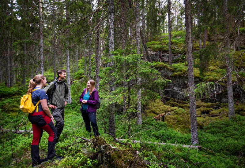Tresticklan-Trollskog 02- Photo Cred Roger Borgelid.jpg